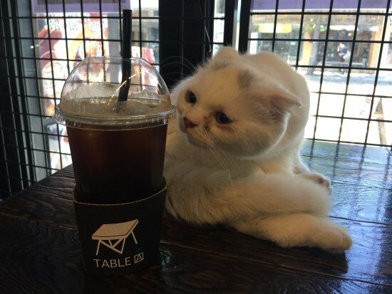 Table a
